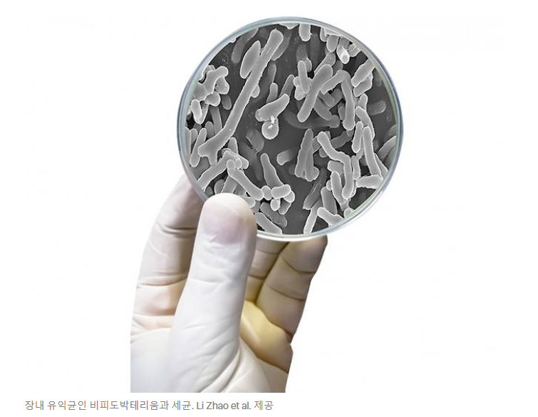 제목 : 한국 첫 ‘대변 은행’ 가보니…”미생물로 병 고쳐요”